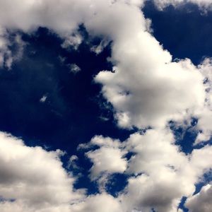 Meet your Posher, Sara jane